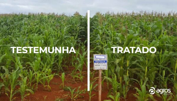 fertmilho-enraizador-fertilizante-enraizador-para-milho-agros-garrafa-de-1-litro-07