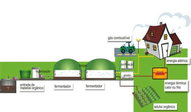 Biodigestores-de-dejetos-animais-em-propriedades-rurais-uma-revolução-sustentável