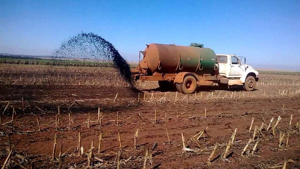 Biodigestores-de-dejetos-animais-em-propriedades-rurais-uma-revolução-sustentável