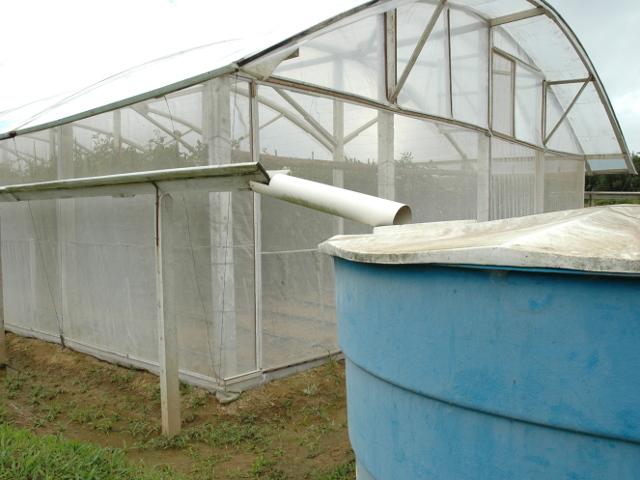 aproveitamento-inteligente-de-agua-da-chuva-cisternas-em-propriedades-rurais