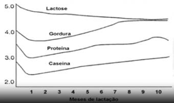 estrategias-nutricionais-para-maximizar-os-componentes-do-leite-gordura-e-proteina
