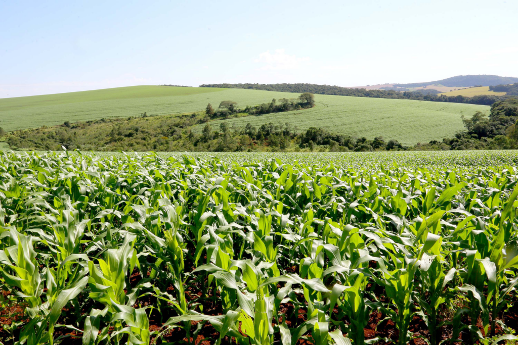 o-papel-dos-fertilizantes-e-adjuvantes-como-inovacoes-tecnologicas-na-agricultura