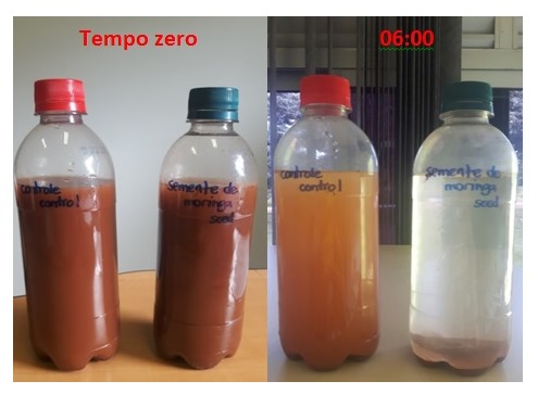 uso-da-moringa-na-alimentacao-de-animais-de-producao