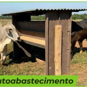 autoabastecimento-cocho-para-alimentacao-de-animais-protecocho-polipropileno-ferragem-com-pintura-epoxi
