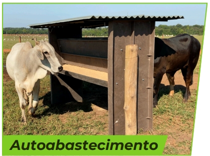 autoabastecimento-cocho-para-alimentacao-de-animais-protecocho-polipropileno-ferragem-com-pintura-epoxi