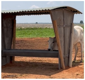 cocho-para-alimentacao-de-animais-protecocho-polipropileno-ferragem-com-pintura-epoxi-16