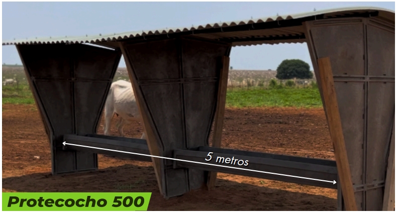 cocho-para-alimentacao-de-animais-protecocho-polipropileno-ferragem-com-pintura-epoxi-17