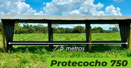 cocho-para-alimentacao-de-animais-protecocho-polipropileno-ferragem-com-pintura-epoxi-20
