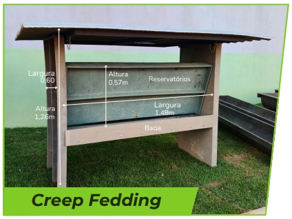 creep-fedding-cocho-para-alimentacao-de-bezerros-protecocho-polipropileno-ferragem-com-pintura-epoxi